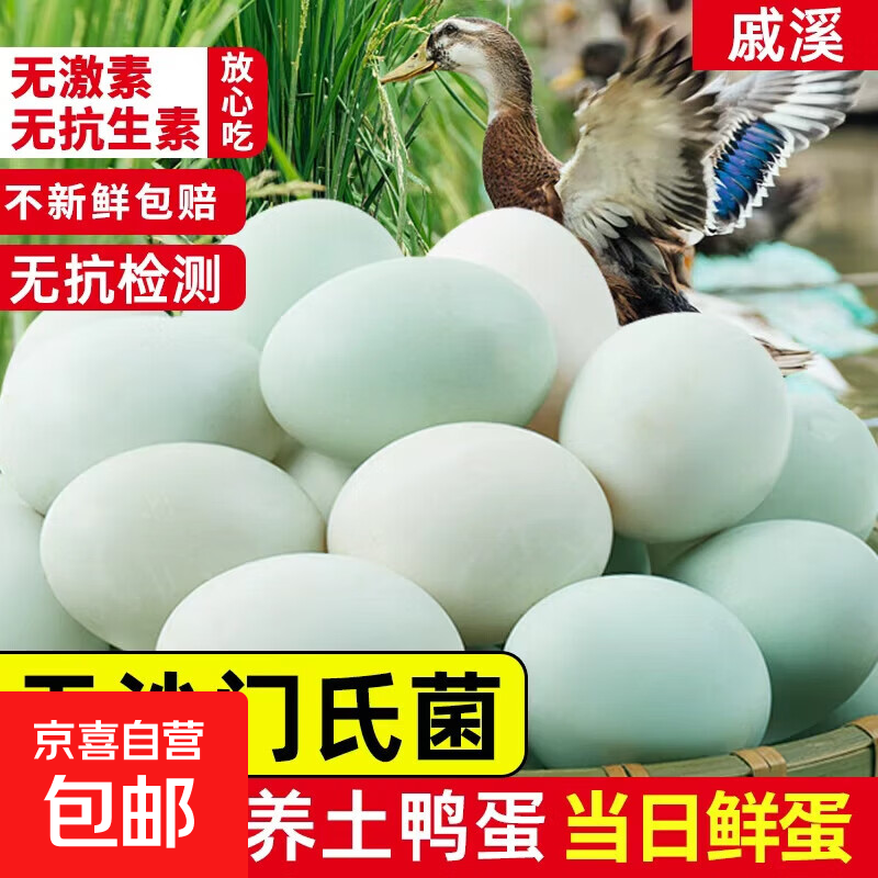 戚溪无抗鸭蛋新鲜鸭蛋绿壳散养白皮现捡土鸭蛋孕妇宝宝营养早餐蛋 50-60克6枚新鲜生鸭蛋 【无抗】 林下散养+无抗检测+无沙门氏菌