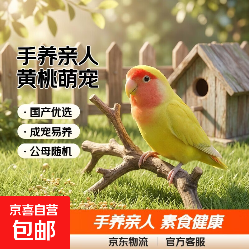 ĵ�����Ļ�����������̽������������ձ��Ҷ�������С�������� ������������ĵ��-���� 122Ԫ