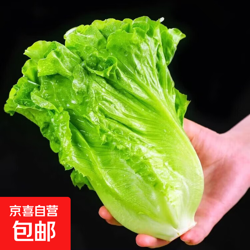 ������������� ���Լ�ʳɳ���߲� ��������̲� ����2�����1.6� 3.5Ԫ