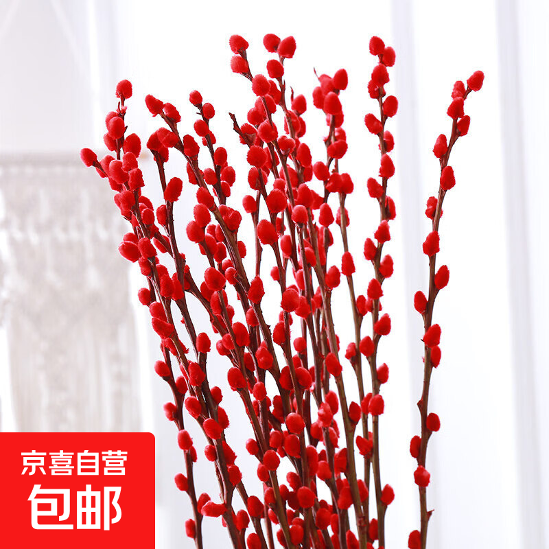 银柳真花鲜枝年宵花卉红色干花福桶银柳水培植物鲜花客厅室内装饰 80cm大红色银柳50支