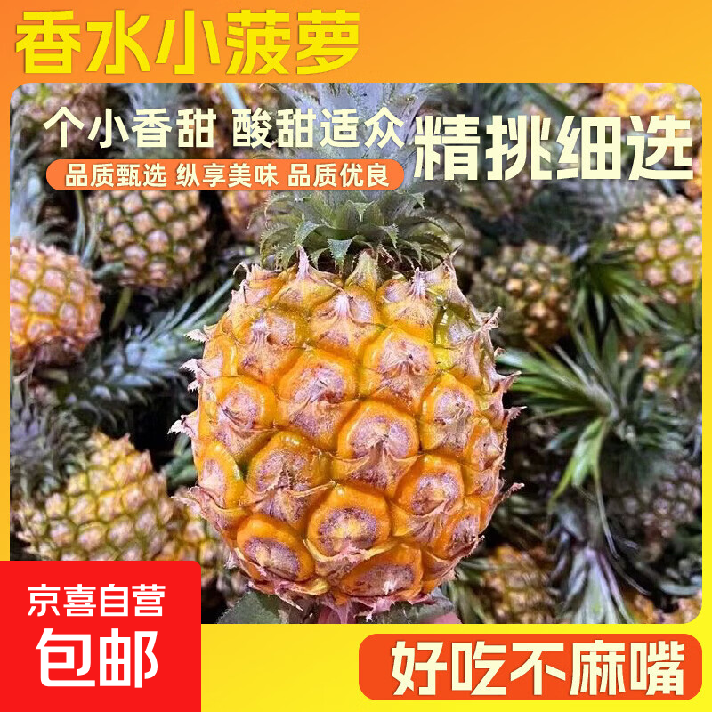 正宗香水菠萝新鲜菠萝迷你小菠萝当季水果青皮生菠萝新鲜现发 香水菠萝小果1个装0.8-1.2斤