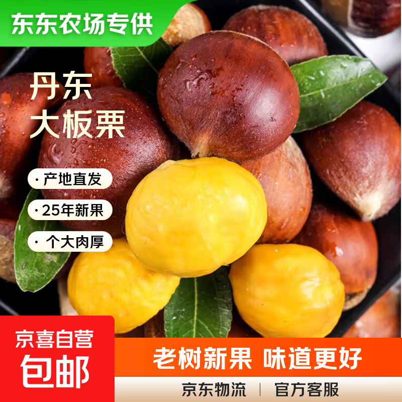 【东东农场专供】正宗丹东新下树板栗可生吃赠送栗爪粉糯香甜 丹东板栗送栗爪 6斤