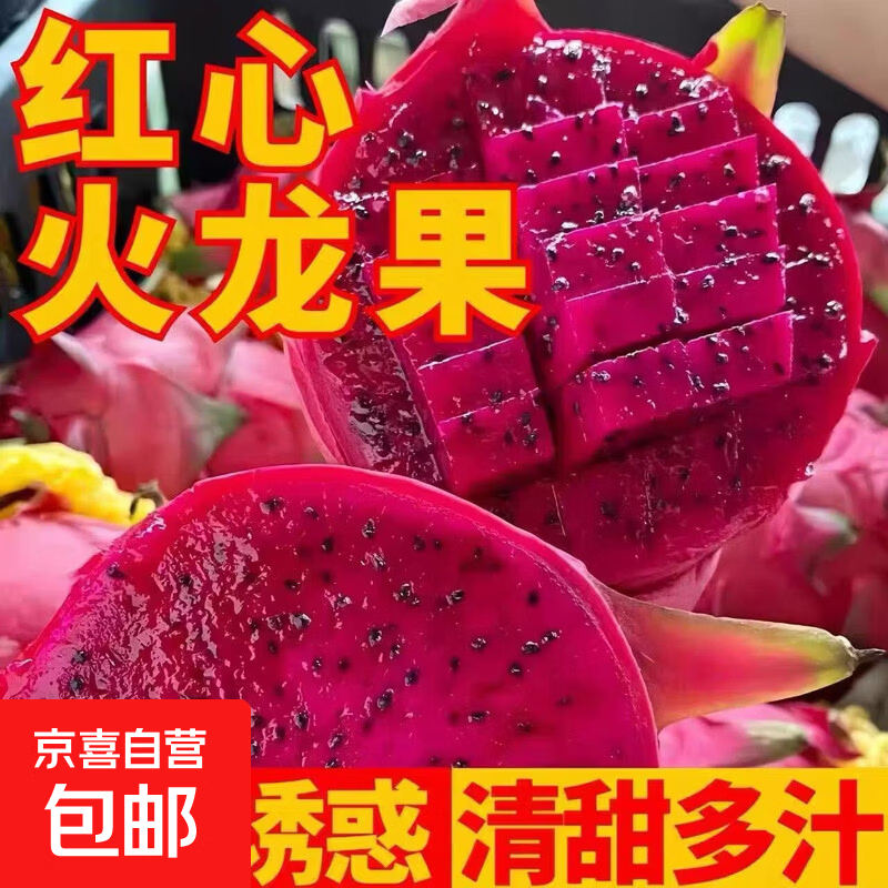 京喜加国产红心火龙果金都一号新鲜水果越皱皮越甜中小果【多仓发货】 【尝鲜1粒装】中小果 单果200g+