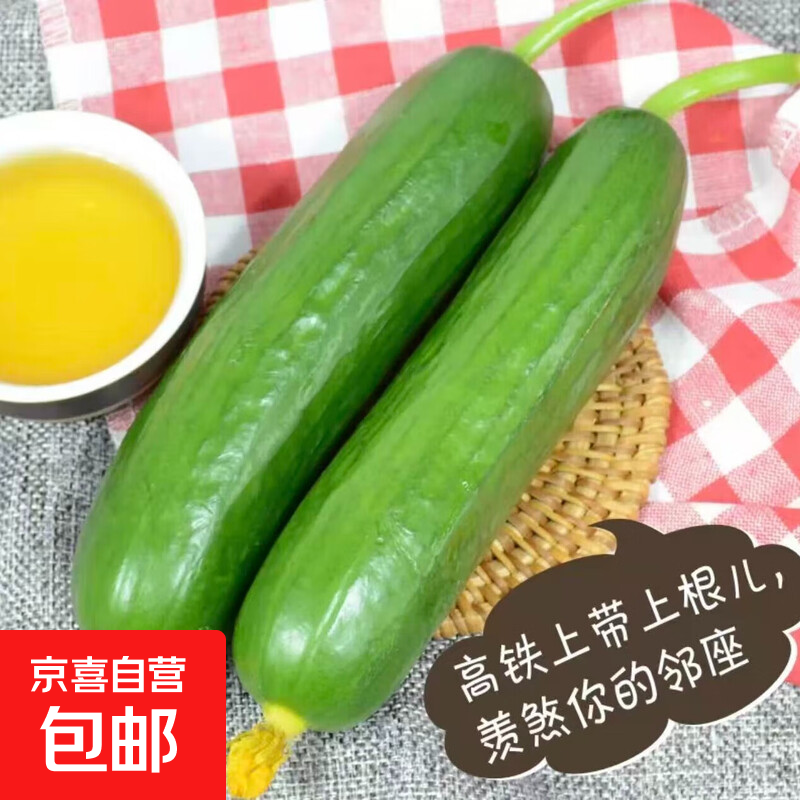 京喜加寿光采摘水果小黄瓜现摘现发新鲜 水果黄瓜1斤带箱