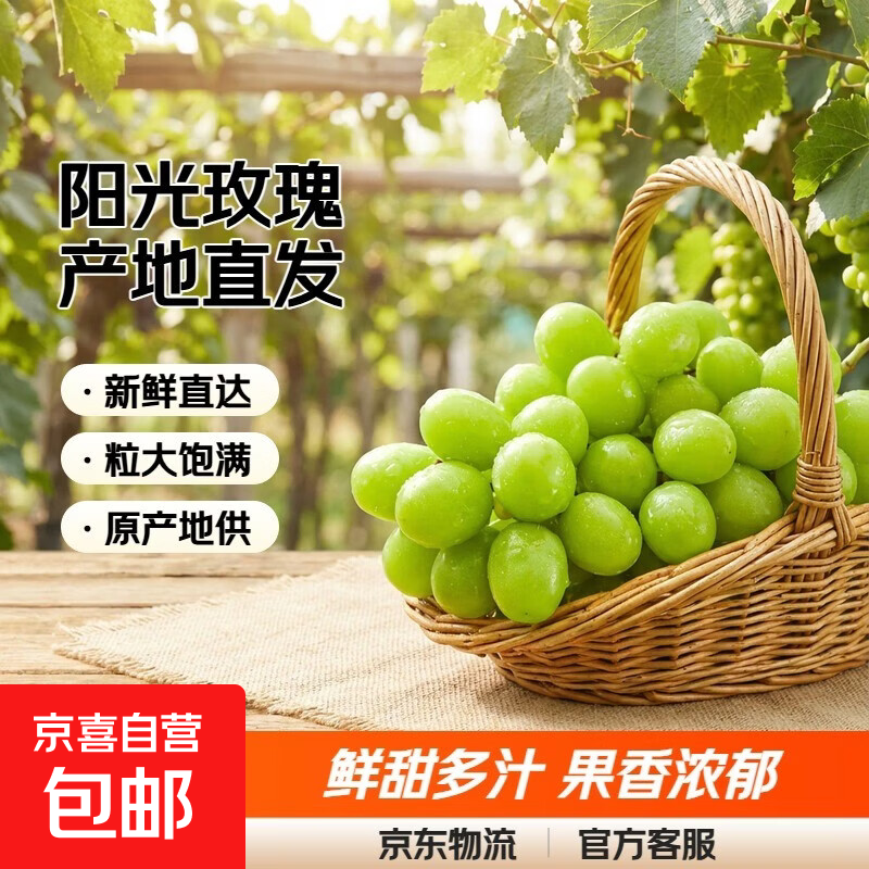 【产地直发】正宗阳光玫瑰葡萄新鲜水果-影 带箱5斤净果4.6-4.8