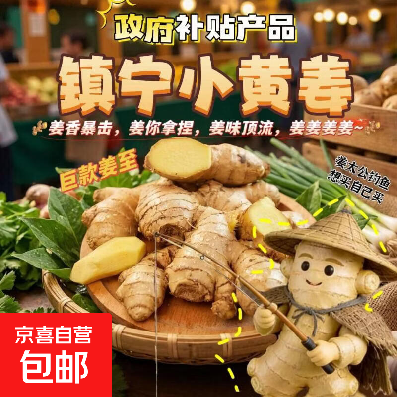 产地直发贵州镇宁新鲜现挖小黄姜生姜黄姜调味料新鲜蔬菜生鲜 半斤体验装 250g
