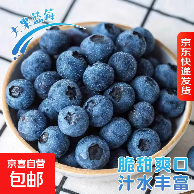 京喜加国产云南蓝莓【JD快递多地发货】超大果蓝莓 孕妇新鲜水果精选 1盒装 尝鲜装【90-115g/盒】 中果【单果15mm+】