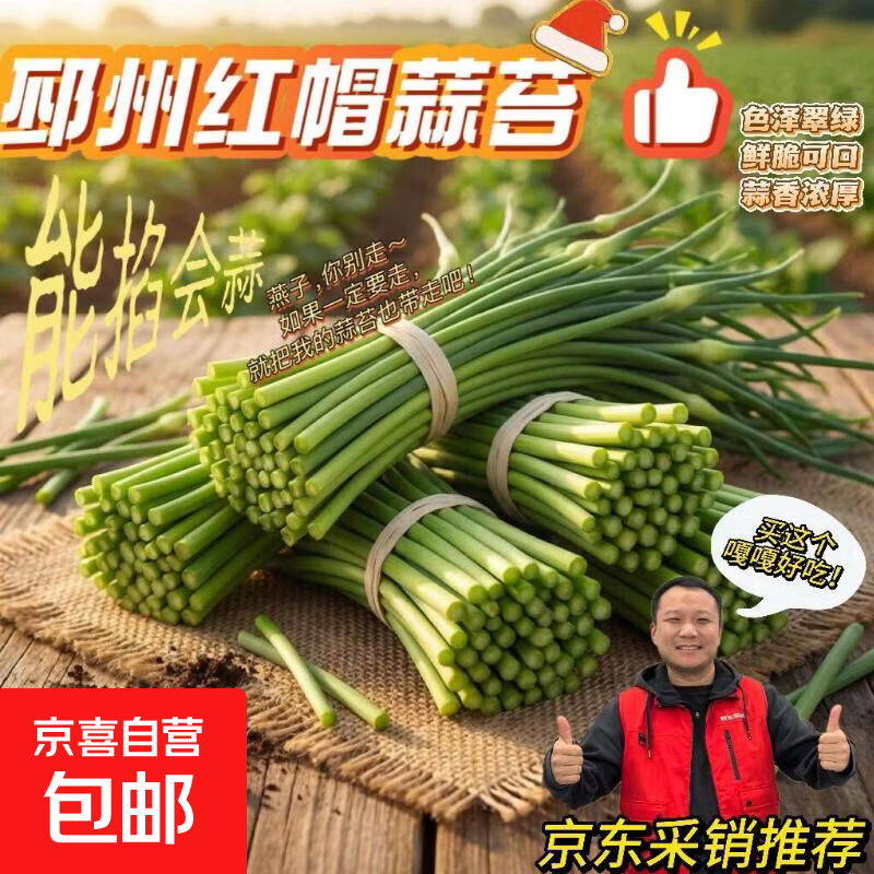 【限时抢购】邳州红帽蒜苔超市批发生鲜蔬菜产地直发 农家小院1斤