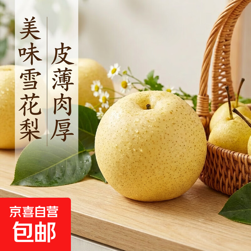 京喜加河北雪梨赵县特产冰糖雪梨煲汤烤梨远达新23 雪梨带箱1斤大果