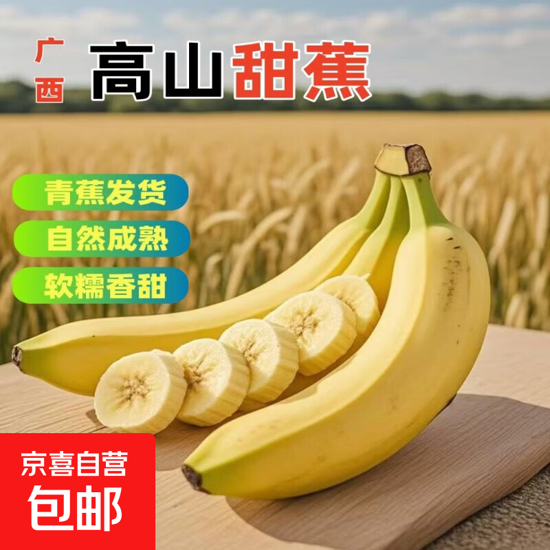 京喜加广西高山香蕉甜蕉当季新鲜水果现摘青皮薄皮香甜整箱孕妇软糯香甜 香蕉青蕉发货 【带箱2斤】