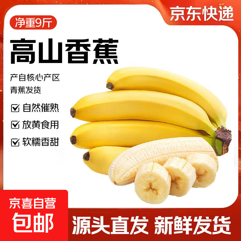 广东高山香蕉当季新鲜生鲜水果薄皮青蕉现摘现发水果源头产地直发 【9斤装】广东高山甜香蕉