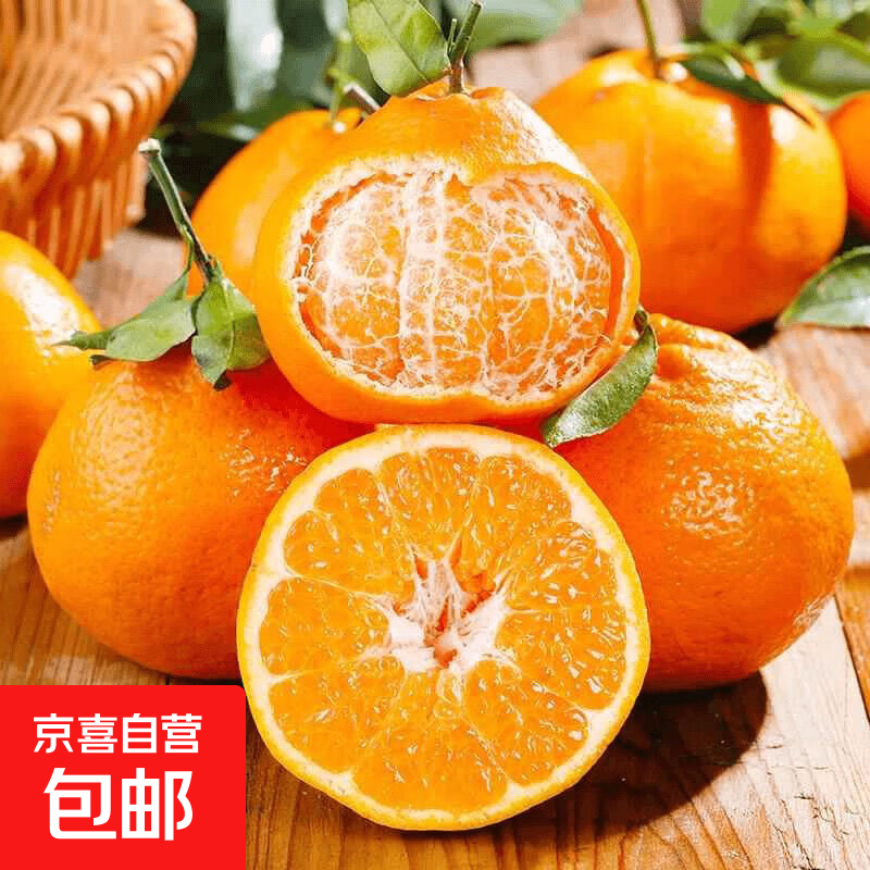 耙耙柑四川特产柑橘新鲜水果橘子当季采摘生鲜礼盒应季特产 耙耙柑5斤装