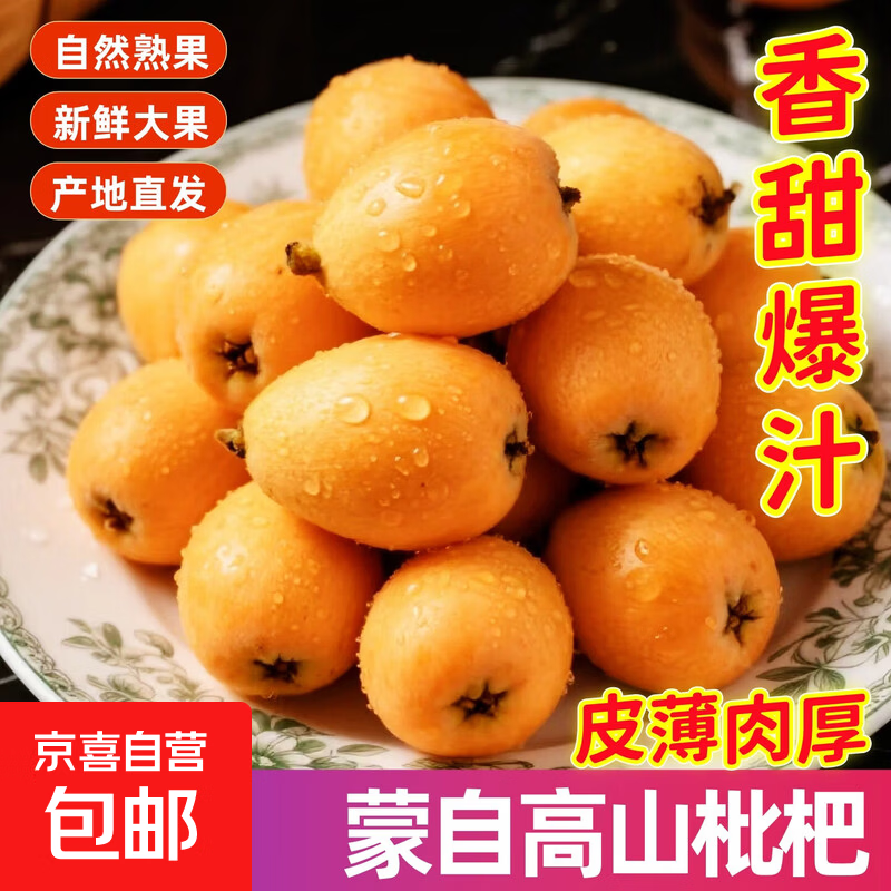 正宗云南蒙自高山甜枇杷大果新鲜时令当季水果树上熟枇杷产地直发 【小果1斤】香甜多汁爽口