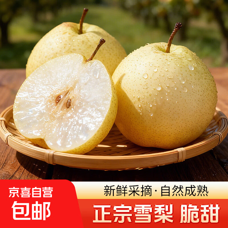 京喜加河北赵县正宗雪花梨冰糖雪梨10斤新鲜化痰止咳雪梨一整箱产地直发 带箱4斤（净重3.5斤）单果150g