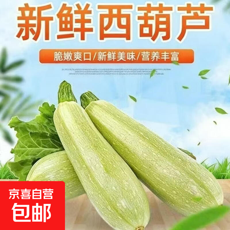 西葫芦新鲜蔬菜西葫芦三月瓜茭瓜番瓜小瓜菜瓜荨瓜熏瓜精选包邮 山东2斤带箱 1.8斤 净重