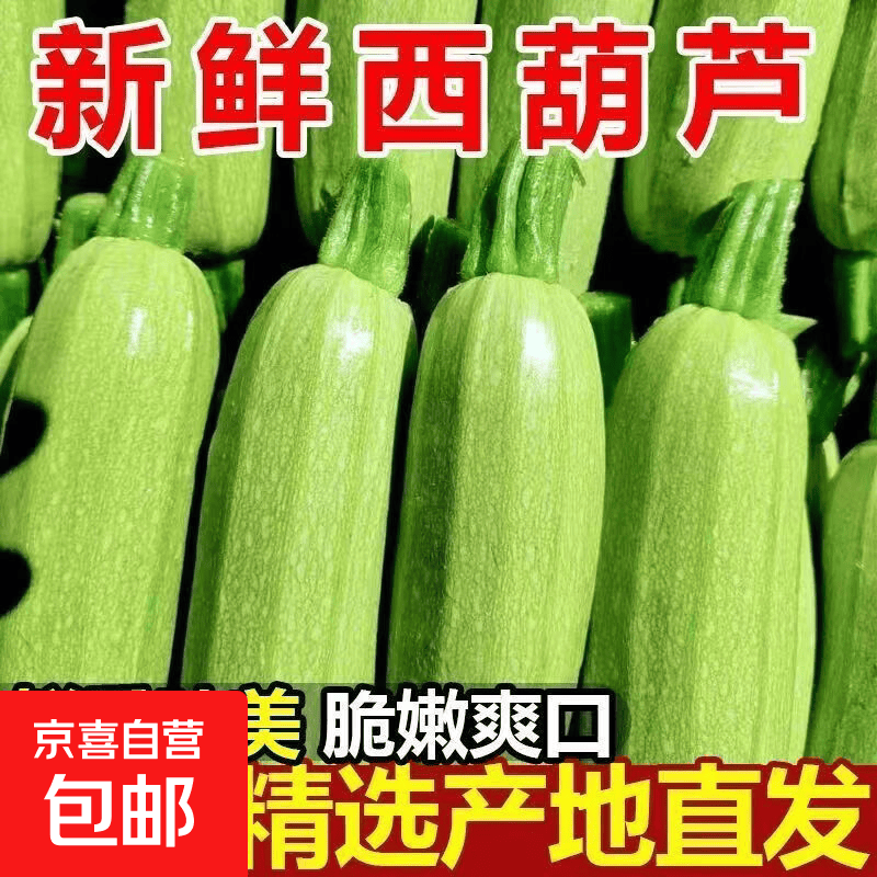新鲜西葫芦生鲜新鲜采摘山东寿光精品皮薄肉厚 西葫芦带箱5斤 4.8斤 净重