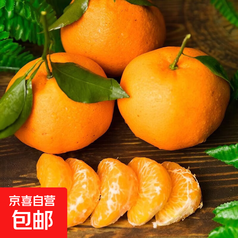 正宗高山耙耙柑当季新鲜采摘粑粑柑水果批发丑甜橘子 耙耙柑带箱2斤