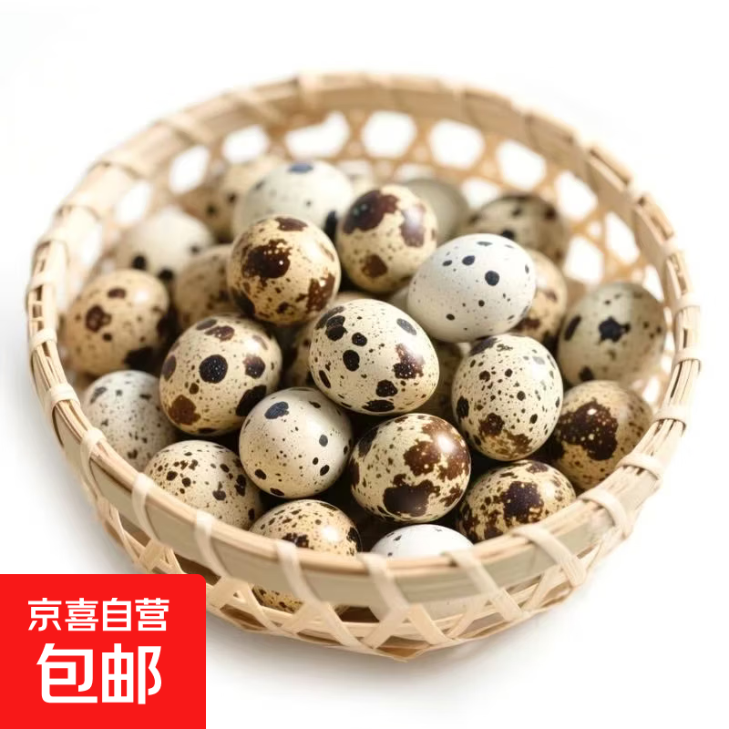 无抗富硒新鲜鹌鹑蛋五谷杂粮喂养现捡现发营养丰富宝宝辅食鹌鹑蛋 30枚宝宝辅食新鲜蛋