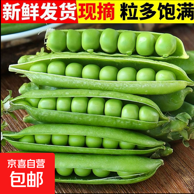 新鲜豌豆四川带壳青豆角水果甜豆荚农家蔬菜 新鲜青豌豆荚净重5斤