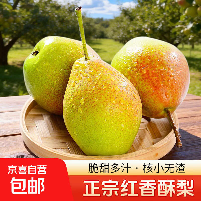 京喜加梨子正宗红香酥梨应季新鲜水果梨子当季青皮薄红香酥梨脆甜 带箱1斤（净重8两）