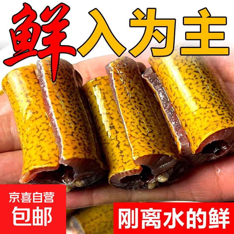 野生鳝鱼鲜活去头去尾去肠半成品滋补土黄鳝中段现杀新鲜速冻商用 鳝鱼段3斤 【去头去尾去内脏】