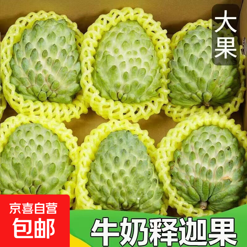 京喜加云南高山特产释迦水果生鲜新鲜水果牛奶凤梨释迦应季水果产地直发 1斤特大果 单果250G+