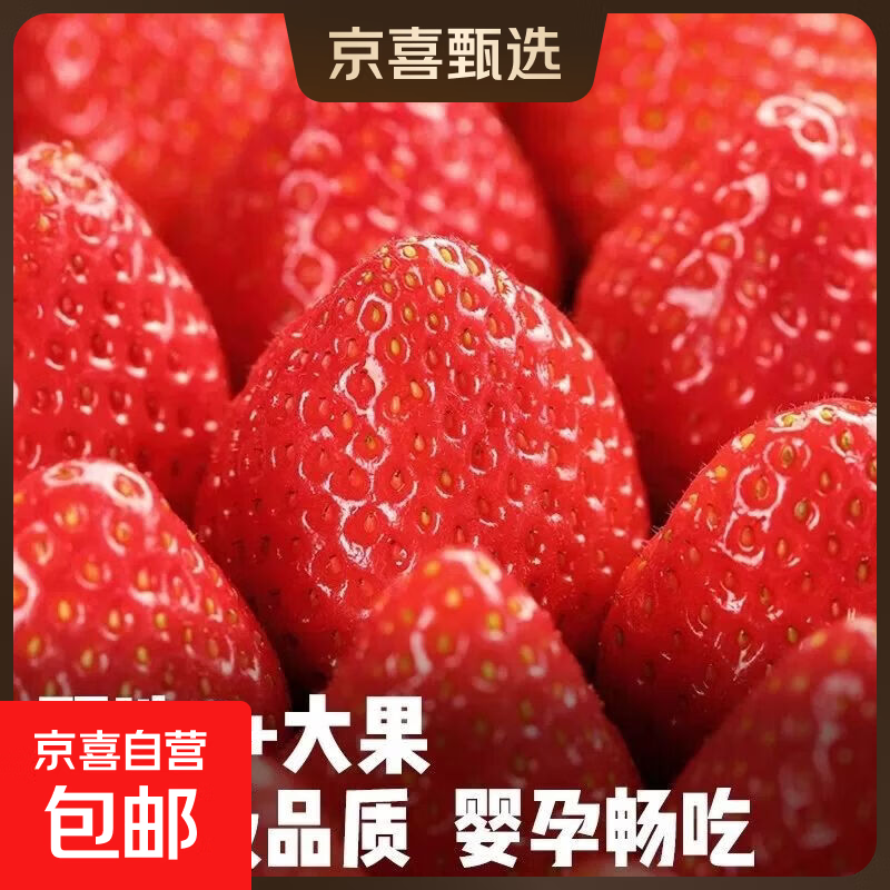 头茬奶油红颜草莓正宗应季新鲜采摘 现摘现发 精品好果-寻枫 【优选大果单果18g+】1斤装净重450g+