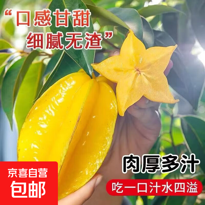 京喜加福建正宗杨桃大果应季新鲜现摘孕妇水果京东包邮 130克起 五星杨桃2斤装（带箱）净重1.8斤