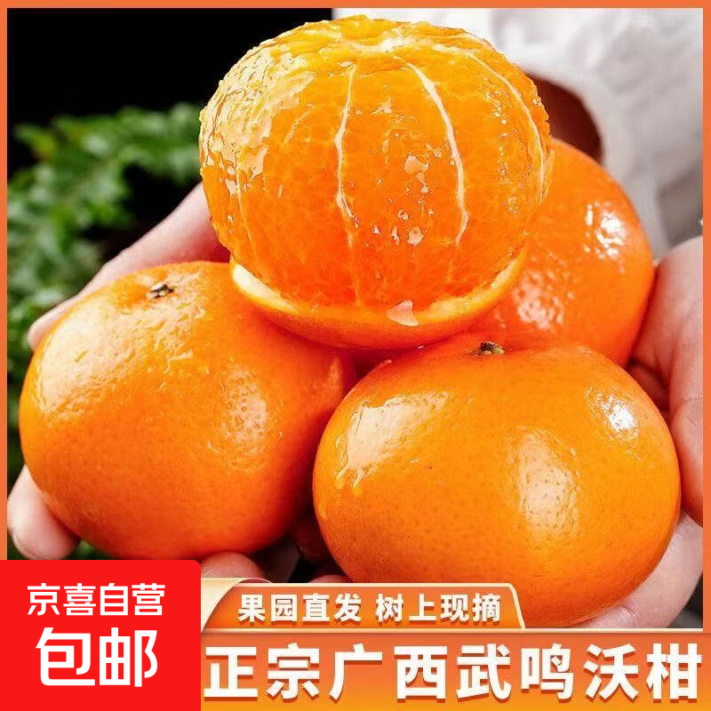 【整箱5/9斤正宗广西武鸣沃柑当季新鲜孕妇水果多汁薄皮橘子批发 带箱5斤装【55mm起】尝鲜装