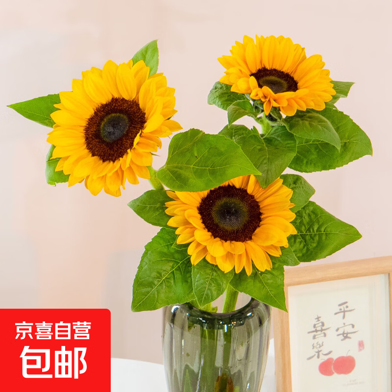 玫瑰向日葵康乃馨风铃鲜花云南直发母亲节生日礼物 向日葵2枝