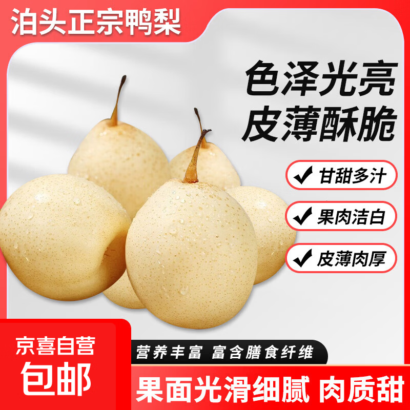 河北鸭梨一级精品梨清甜可口汁水充盈甜润皮薄人工筛选 2斤【含箱重】