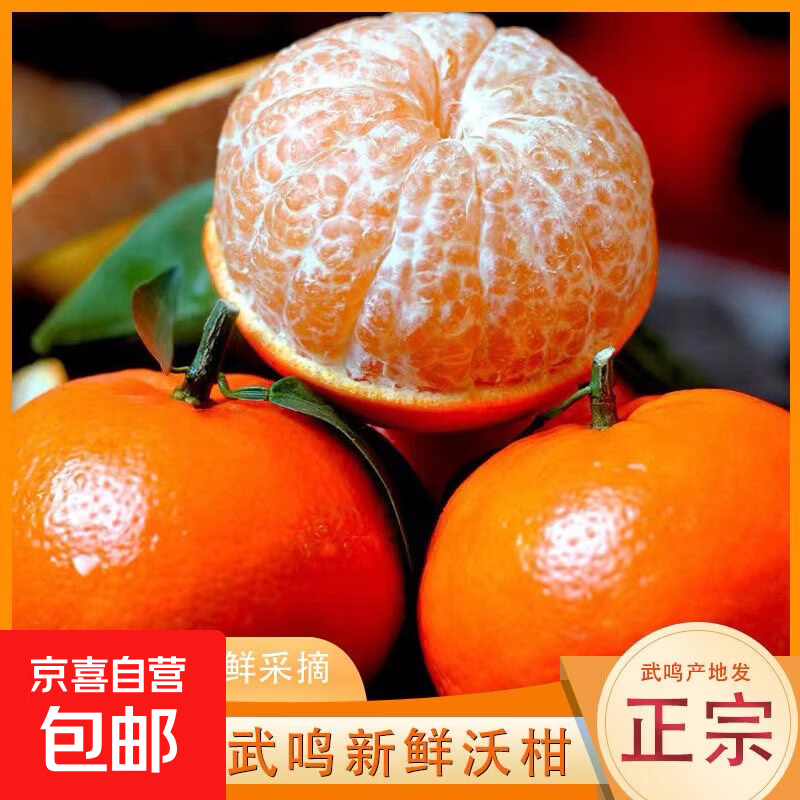 广西正宗武鸣沃柑生鲜水果应季时令水果新鲜产地现摘直发 带箱9斤（55+）