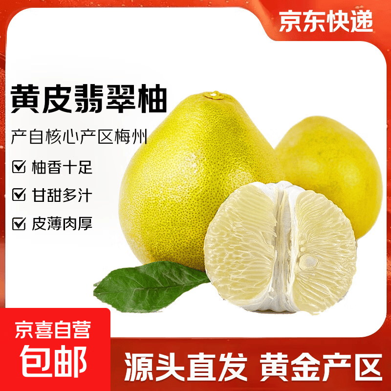 梅州黄皮翡翠柚 当季生鲜新鲜水果非梅州蜜柚沙田柚源头直发包邮 【尝鲜1粒】单果1斤