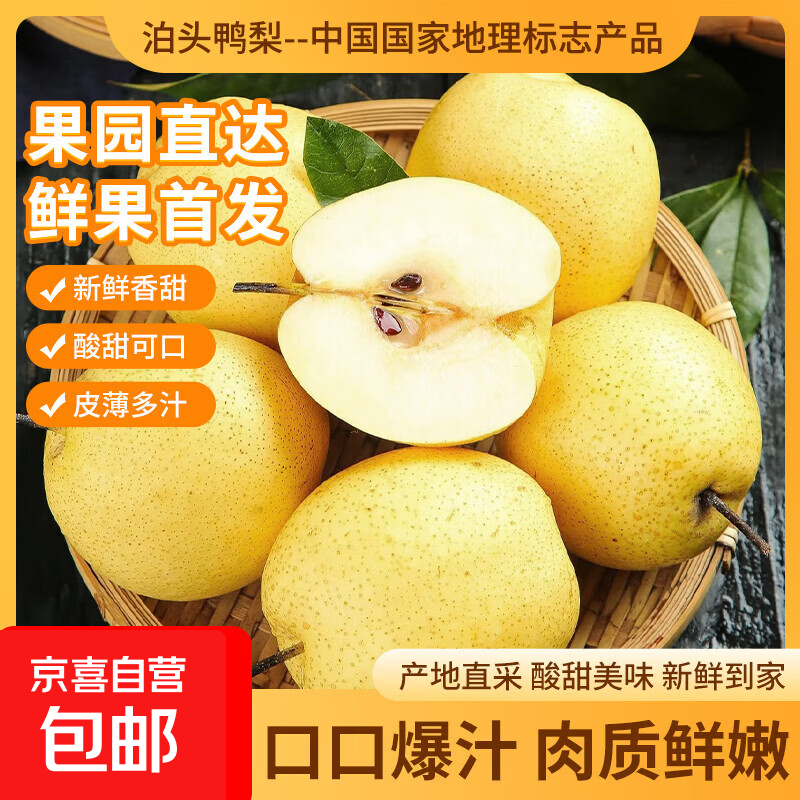 鸭梨河北泊头新鲜鸭梨人工筛选爆甜多汁果肉香甜果园直供 5斤【含箱重】净重4.5斤单果150g