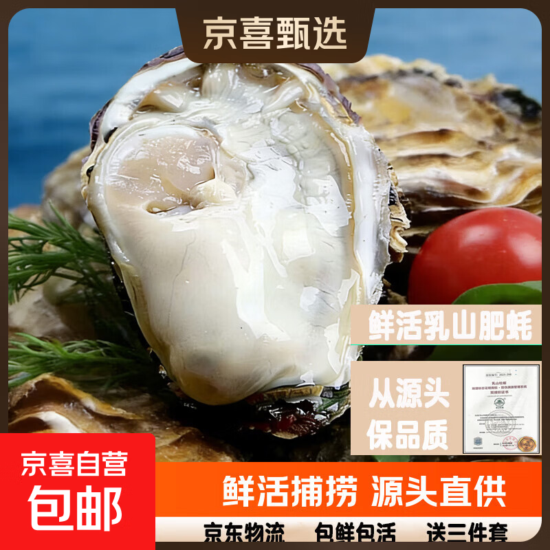 乳山生蚝鲜活新鲜正宗乳山牡蛎海蛎鲜活牡蛎海鲜带壳贝类5斤/10斤 6X大蚝王-5斤装约6-9只