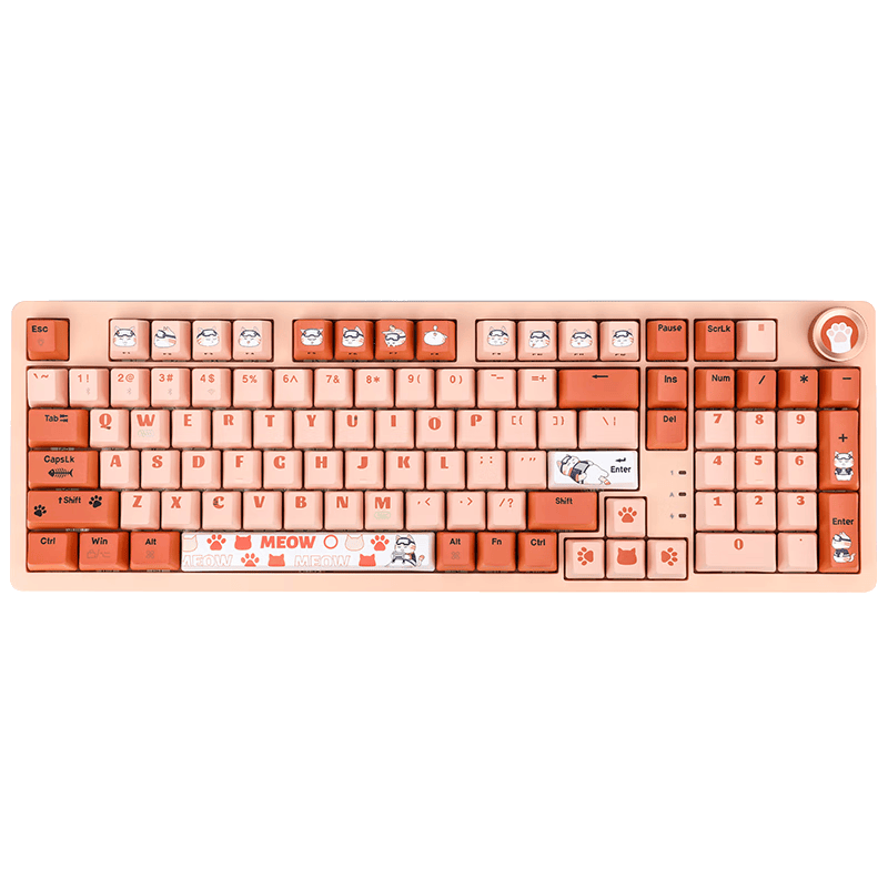 七彩虹 COLORFIRE 橘猫定制 RS2