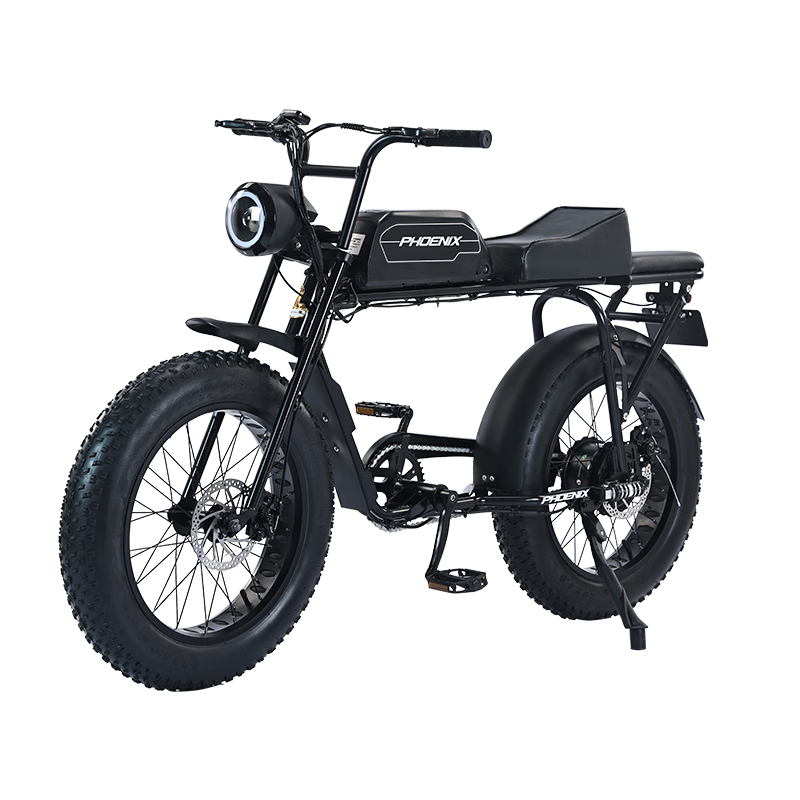 ڲˣPhoenixSuper73綯г¹ɽԽҰŵ綯S1׼桿˫ߵɲ+Ǳ+ӷ13AH﮵2049Ԫ