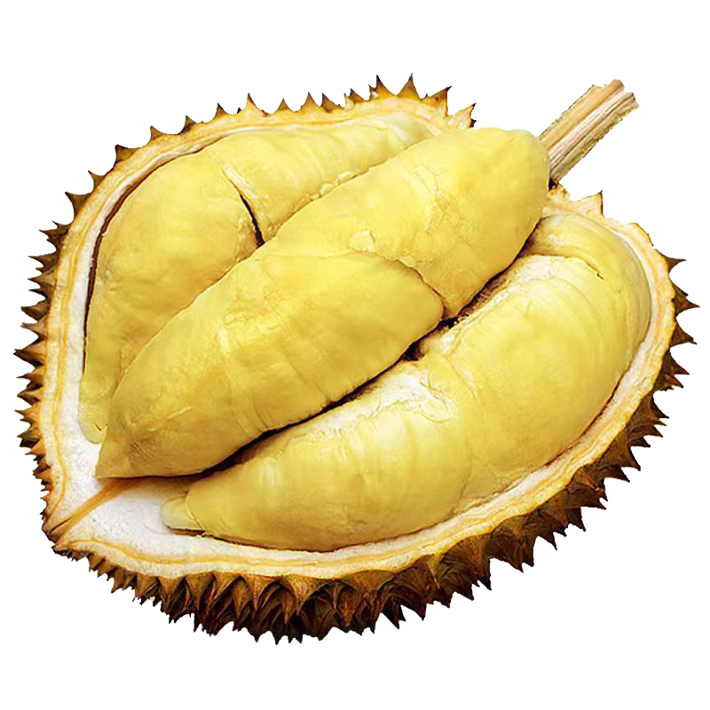 ���ش�̩�����������������ͷ�䶳��������5����������Դͷֱ������ 349Ԫ