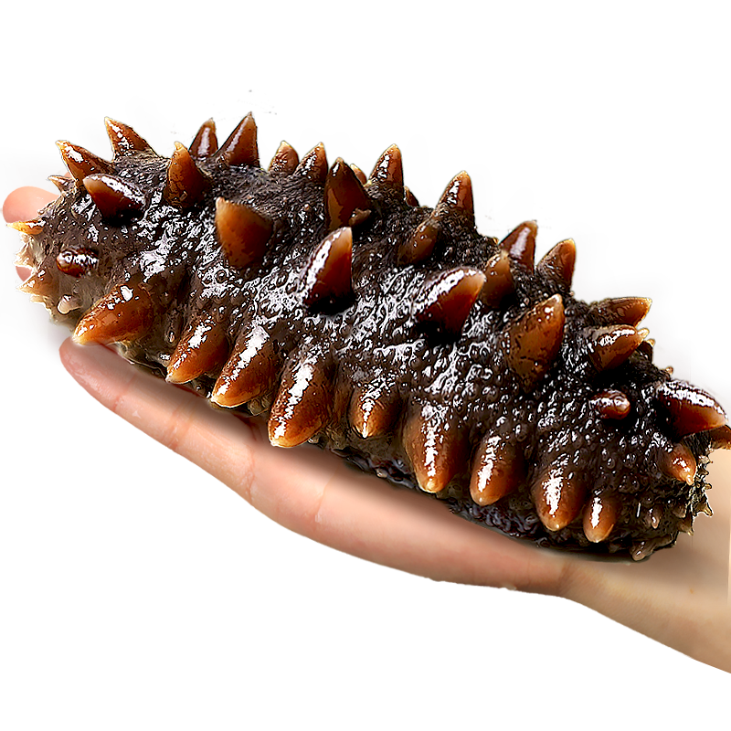  ʳ ݷδ߷ʻ̲ʾ500g 7꺣 ʳΡ20-40ֻ/ 1װ 69.8Ԫ