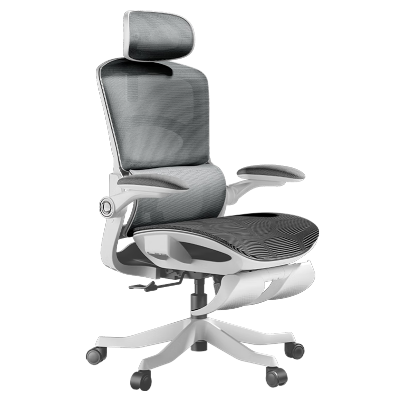 ڰ׵P2Pro Pro+幤ѧΰ칫˹ѧѧϰξʵ羺 P2Pro˪ 4D+3D 509.23Ԫ