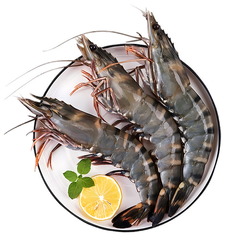 ٴ ʻڻϺ 221-25ֻ شϺٶϻϺ ˮ