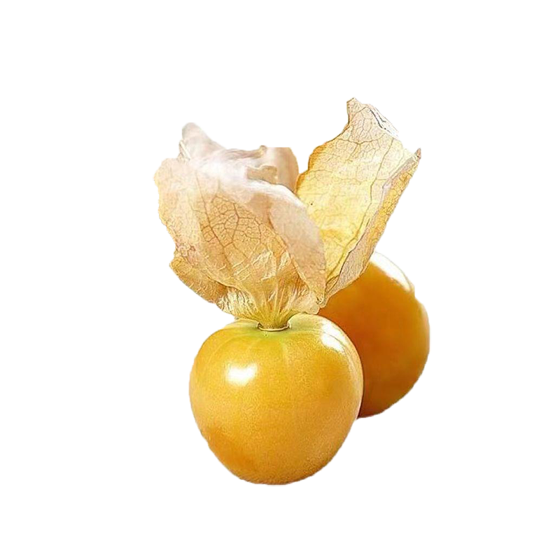 顧果鮮順豐東北菇娘果燈籠果當(dāng)季新鮮水果姑鳥(niǎo)果大果洋姑娘果甜菇?jīng)霈F(xiàn)摘 3斤精選裝