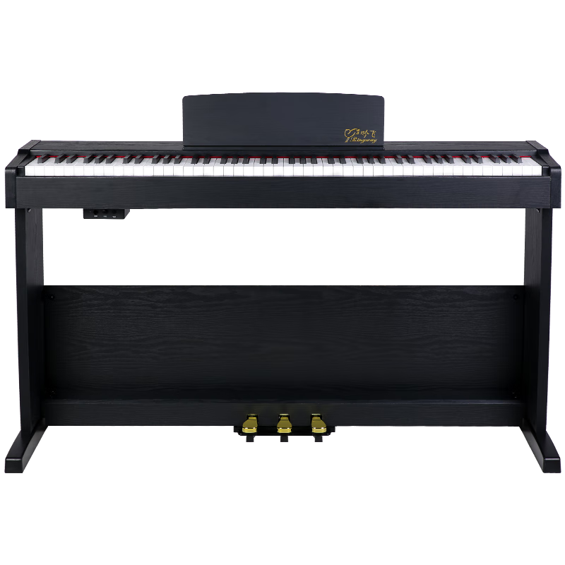 吟飛電鋼琴88鍵重錘鍵盤 專業(yè)考級電子數碼鋼琴 家用初學者TG8859 [重錘款]黑色重錘RDP-40+大禮包
