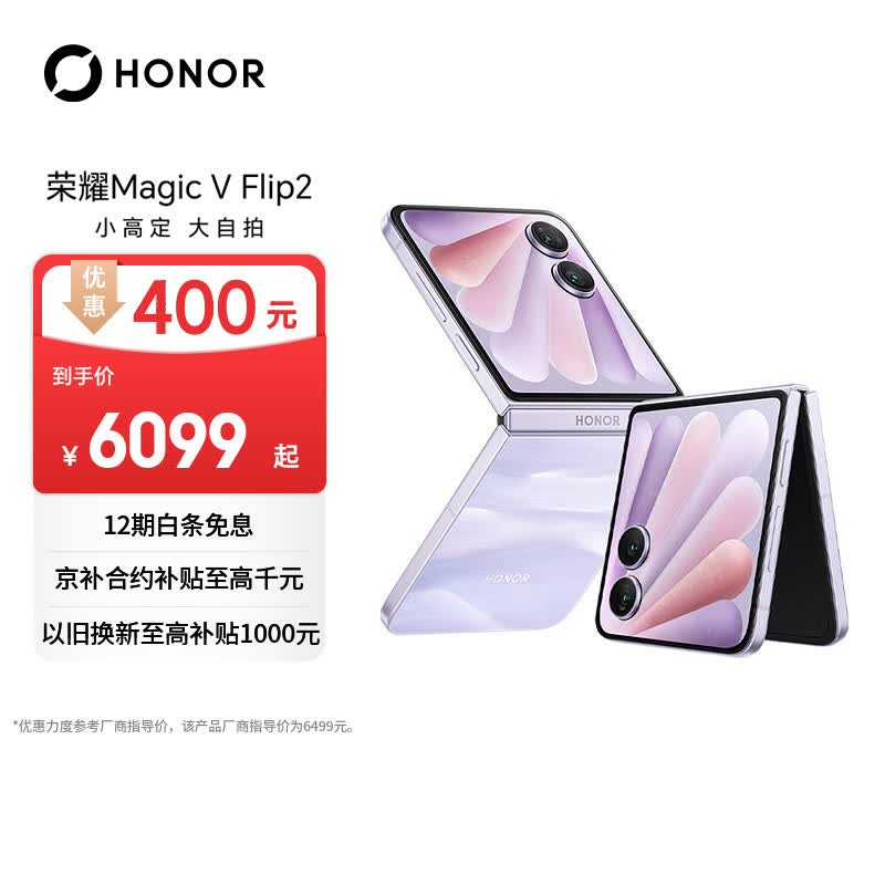 荣耀Magic V Flip2 小折叠屏 AI 2亿写真自拍 5500mAh青海湖电池 12+1T晨曦紫 拍照 5G手机