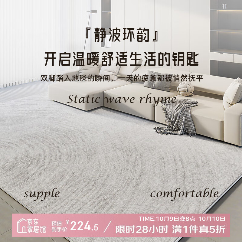 AOVOC北欧风抽象地毯客厅2025新款免洗可擦轻奢高级感 静波环韵2*3米