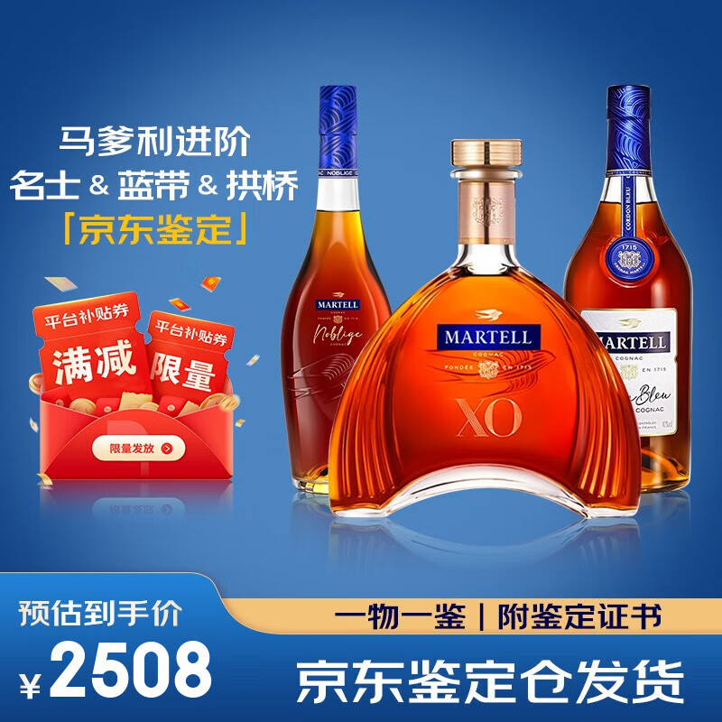 馬爹利（Martell）XO+VSOP大牌進(jìn)階組合  干邑白蘭地酒 洋酒烈酒 禮品酒 【XO+VSOP進(jìn)階組合】 700mL 3瓶