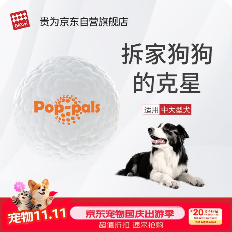 献给青铜铲屎官｜500买的狗却花了5000配齐装备，新手养宠需要哪些刚需品，胡子带你一起选～