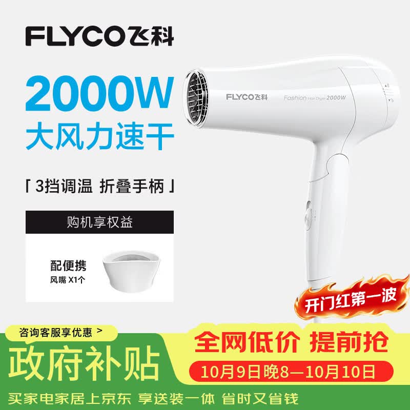 飞科电吹风机家用发廊大功率2000W速干恒温便携可折叠白色FH6232