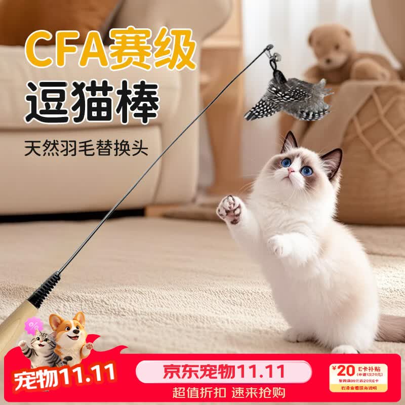 憨憨乐园 CFA赛级木柄弹簧猫咪逗猫棒珍珠羽毛铃铛可拆卸替换头耐用猫玩具