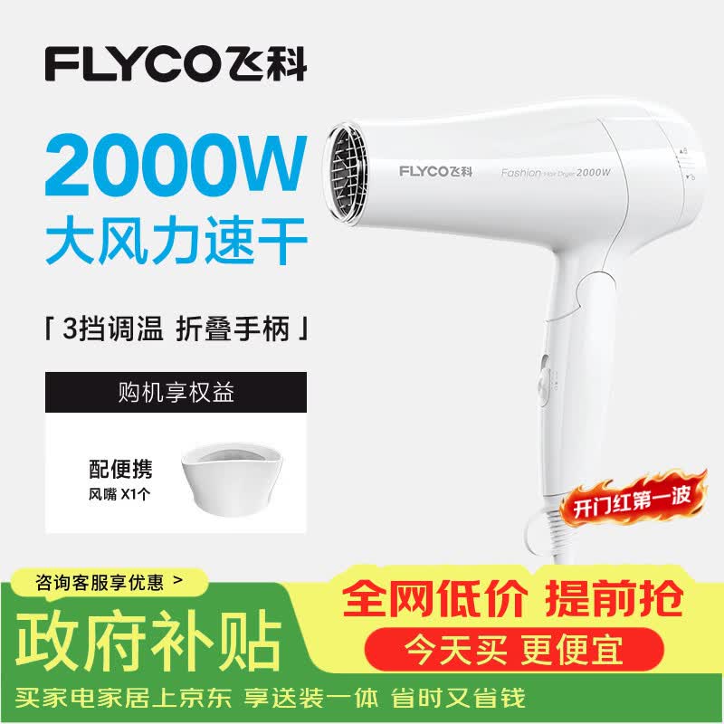飞科电吹风机家用发廊大功率2000W速干恒温便携可折叠白色FH6232